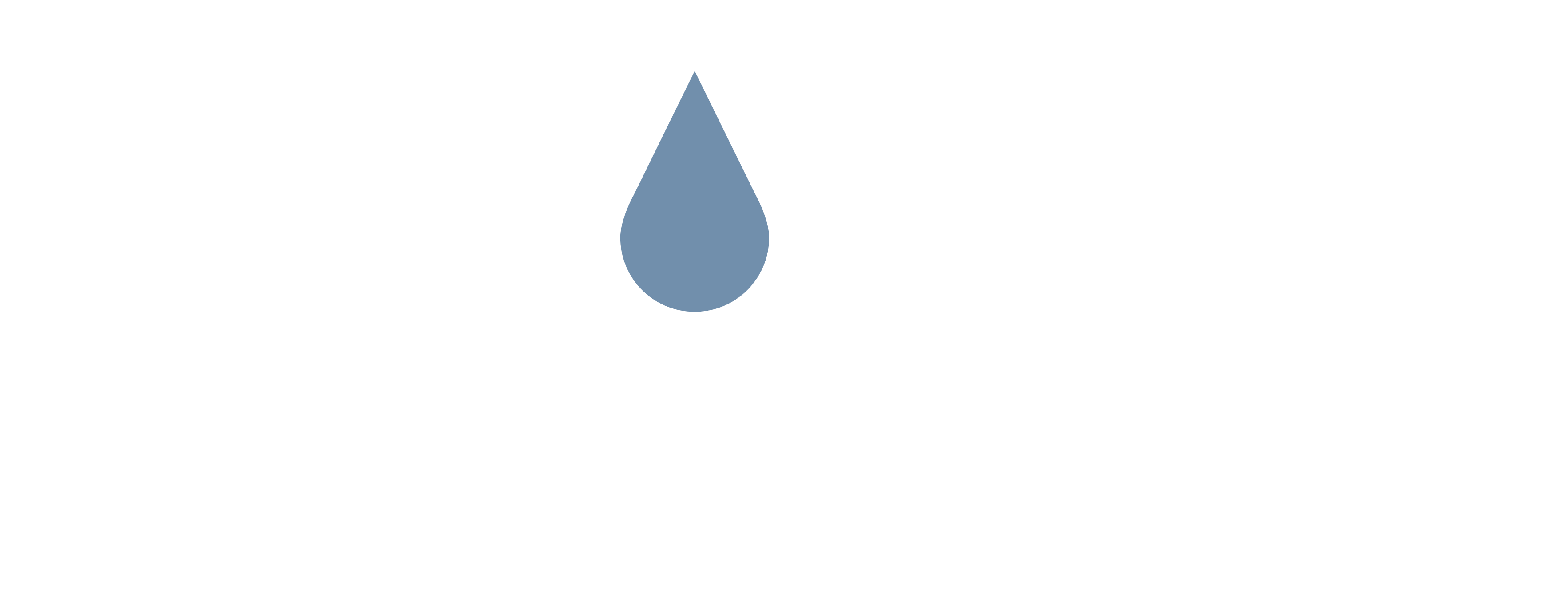 logo_facturagas